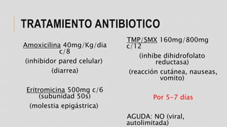 TRATAMIENTO ANTIBIOTICO
TMP/SMX 160mg/800mg
c/12
(inhibe dihidrofolato
reductasa)
(reacción cutánea, nauseas,
vomito)
Por 5-7 días
AGUDA: NO (viral,
autolimitada)
Amoxicilina 40mg/Kg/dia
c/8
(inhibidor pared celular)
(diarrea)
Eritromicina 500mg c/6
(subunidad 50s)
(molestia epigástrica)
 