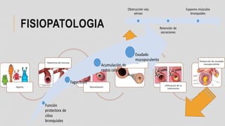FISIOPATOLOGIA
Agente
Hiperemia de mucosa
Descamacion
Edema
Infiltracion de la
submucosa
Producción de exudado
mucopurulento
 
