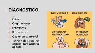 DIAGNOSTICO
1. Clínica
2. Crepitaciones
3. Estertores
4. Rx de tórax
5. Gasometría arterial
6. Tinción de Gram del
esputo para asilar al
agente.
 