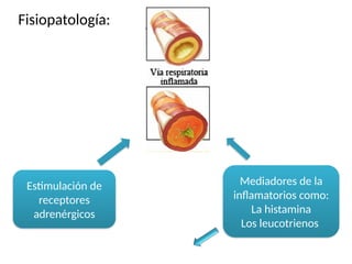 Fisiopatología:
Estimulación de
receptores
adrenérgicos
Mediadores de la
inflamatorios como:
La histamina
Los leucotrienos
 