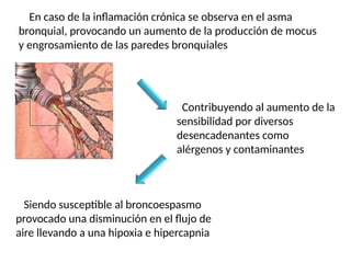 En caso de la inflamación crónica se observa en el asma
bronquial, provocando un aumento de la producción de mocus
y engrosamiento de las paredes bronquiales
Contribuyendo al aumento de la
sensibilidad por diversos
desencadenantes como
alérgenos y contaminantes
Siendo susceptible al broncoespasmo
provocado una disminución en el flujo de
aire llevando a una hipoxia e hipercapnia
 