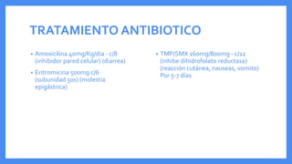 TRATAMIENTO ANTIBIOTICO
• Amoxicilina 40mg/Kg/dia - c/8
(inhibidor pared celular) (diarrea)
• Eritromicina 500mg c/6
(subunidad 50s) (molestia
epigástrica)
• TMP/SMX 160mg/800mg - c/12
(inhibe dihidrofolato reductasa)
(reacción cutánea, nauseas, vomito)
Por 5-7 días
 