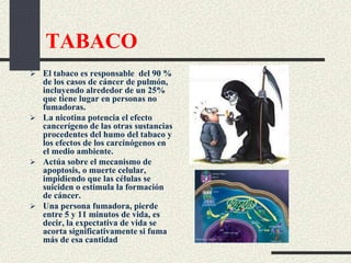 TABACO
 El tabaco es responsable del 90 %
de los casos de cáncer de pulmón,
incluyendo alrededor de un 25%
que tiene lugar en personas no
fumadoras.
 La nicotina potencia el efecto
cancerígeno de las otras sustancias
procedentes del humo del tabaco y
los efectos de los carcinógenos en
el medio ambiente.
 Actúa sobre el mecanismo de
apoptosis, o muerte celular,
impidiendo que las células se
suiciden o estimula la formación
de cáncer.
 Una persona fumadora, pierde
entre 5 y 11 minutos de vida, es
decir, la expectativa de vida se
acorta significativamente si fuma
más de esa cantidad
 