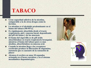 TABACO
Gran capacidad adictiva de la nicotina,
comparable a la de otras drogas como la
heroína.
La nicotina es el alcaloide predominante en el
humo del tabaco (90-95%).
Es rápidamente absorbida desde el tracto
respiratorio, piel y mucosa bucal, dependiendo
del pH del humo y de las mucosas.
El humo del cigarrillo es de pH ácido
absorbiéndose en tracto respiratorio bronquial,
mientras el humo del tabaco puro es mas
alcalino, absorbiéndose en mucosa oral.
Cuando la nicotina llega a los receptores
cerebrales produce la liberación de dopamina,
sustancia que es causante de la sensación de
placer
Alcanza el cerebro en unos 10 segundos
actuando en el locus coeruleus y en el sistema
mesolímbico dopaminérgico.
 