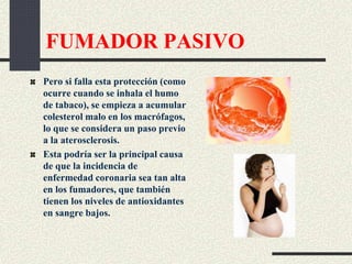 FUMADOR PASIVO
Pero si falla esta protección (como
ocurre cuando se inhala el humo
de tabaco), se empieza a acumular
colesterol malo en los macrófagos,
lo que se considera un paso previo
a la aterosclerosis.
Esta podría ser la principal causa
de que la incidencia de
enfermedad coronaria sea tan alta
en los fumadores, que también
tienen los niveles de antioxidantes
en sangre bajos.
 