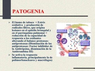 PATOGENIA
 El humo de tabaco = Estrés
oxidativo y producción de
radicales libres, que origina
lesiones en el epitelio bronquial y
en el parénquima pulmonar >
reducción de la capacidad de
respuesta a los oxidantes
alterando el balance proteasas-
antiproteasas (Disminución de las
antiproteasas: Factor inhibidor de
la Antitripsina, disminución de la
Antitrombina III)
 Se activa la respuesta
inflamatoria, principalmente la de
polimorfonucleares y macrófagos)
 