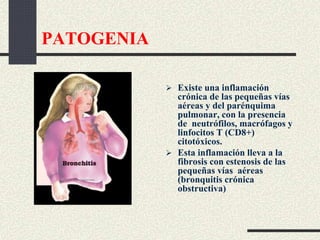 PATOGENIA
 Existe una inflamación
crónica de las pequeñas vías
aéreas y del parénquima
pulmonar, con la presencia
de neutrófilos, macrófagos y
linfocitos T (CD8+)
citotóxicos.
 Esta inflamación lleva a la
fibrosis con estenosis de las
pequeñas vías aéreas
(bronquitis crónica
obstructiva)
 