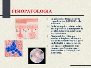 FISIOPATOLOGIA
 La causa mas frecuente de la
reagudización del EPOC es la
infección.
 En la bronquitis crónica existe
una hipertrofia e hiperplasia de
las glándulas bronquiales que
segregan moco.
 Pérdida de los cilios que
ayudan a desplazar el moco a
través del árbol bronquial para
su deglución y expectoración.
 Los agentes infecciosos mas
comunes son Streptococcus
pneumoniae y Haemophylus
influenzae.
 