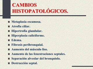 CAMBIOS
HISTOPATOLÓGICOS.
Metaplasia escamosa.
Atrofia ciliar.
Hipertrofia glandular.
Hiperplasia caliciforme.
Edema.
Fibrosis peribronquial.
Aumento del músculo liso.
Aumento de las fenestraciones septales.
Separación alveolar del bronquiolo.
Destrucción septal.
 