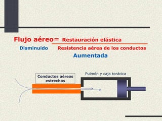 Flujo aéreo= Restauración elástica
Disminuido Resistencia aérea de los conductos
Aumentada
Conductos aéreos
estrechos
Pulmón y caja torácica
 