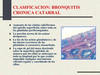 CLASIFICACION: BRONQUITIS
CRONICA CATARRAL
Aumento de las células caliciformes
del epitelio superficial, sobre todo en
las glándulas peribronquiales.
La porción serosa de los acinos
desaparece.
La luz de los acinos glandulares y de
los ductos excretores de las
glándulas se encuentra ensanchada.
La capa de gel del moco desciende
sobre la superficie epitelial, de
manera que los cilios se sumergen en
toda su longitud por lo que resulta
imposible cualquier movimiento
vibrátil regular y coordinado de los
cilios.
 