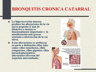 BRONQUITIS CRONICA CATARRAL
La hipersecreción mucosa
produce las alteraciones de la vía
aérea pequeña (2 mm de
diámetro o menos) es
funcionalmente importante y la
manifestación más precoz
asociada a obstrucción de la vía
aérea.
Estas alteraciones se atribuyen
en parte a disfunción ciliar tales
como: cilios tumefactos, cilios
compuestos, cilios gigantes, cilios
intracitoplasmáticos,
alteraciones diversas del
esqueleto microtubular.
 