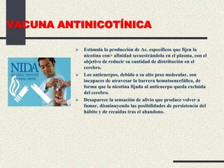 VACUNA ANTINICOTÍNICA
 Estimula la producción de Ac. específicos que fijen la
nicotina con> afinidad secuestrándola en el plasma, con el
objetivo de reducir su cantidad de distribución en el
cerebro.
 Los anticuerpos, debido a su alto peso molecular, son
incapaces de atravesar la barrera hematoencefálica, de
forma que la nicotina fijada al anticuerpo queda excluida
del cerebro.
 Desaparece la sensación de alivio que produce volver a
fumar, disminuyendo las posibilidades de persistencia del
hábito y de recaídas tras el abandono.
 