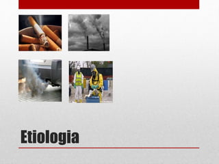 Etiologia
 