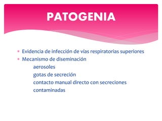  Evidencia de infección de vías respiratorias superiores
 Mecanismo de diseminación
aerosoles
gotas de secreción
contacto manual directo con secreciones
contaminadas
PATOGENIA
 