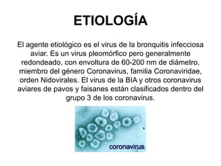 ETIOLOGÍA 
El agente etiológico es el virus de la bronquitis infecciosa 
aviar. Es un virus pleomórfico pero generalmente 
redondeado, con envoltura de 60-200 nm de diámetro, 
miembro del género Coronavirus, familia Coronaviridae, 
orden Nidovirales. El virus de la BIA y otros coronavirus 
aviares de pavos y faisanes están clasificados dentro del 
grupo 3 de los coronavirus. 
 