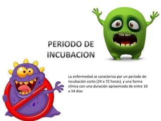 La enfermedad se caracteriza por un período de 
incubación corto (24 a 72 horas), y una forma 
clínica con una duración aproximada de entre 10 
a 14 días 
 