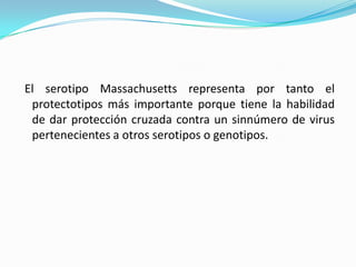 El serotipo Massachusetts representa por tanto el protectotipos más importante porque tiene la habilidad de dar protección cruzada contra un sinnúmero de virus pertenecientes a otros serotipos o genotipos.