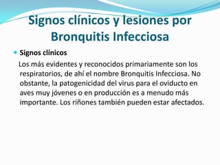 Signos clínicos y lesiones por Bronquitis InfecciosaSignos clínicos   Los más evidentes y reconocidos primariamente son los respiratorios, de ahí el nombre Bronquitis Infecciosa. No obstante, la patogenicidad del virus para el oviducto en aves muy jóvenes o en producción es a menudo más importante. Los riñones también pueden estar afectados.