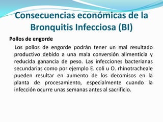 Consecuencias económicas de la Bronquitis Infecciosa (BI)Pollos de engorde    Los pollos de engorde podrán tener un mal resultado productivo debido a una mala conversión alimenticia y reducida ganancia de peso. Las infecciones bacterianas secundarias como por ejemplo E. coli u O. rhinotracheale pueden resultar en aumento de los decomisos en la planta de procesamiento, especialmente cuando la infección ocurre unas semanas antes al sacrificio.
