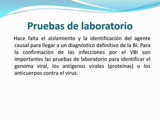 Pruebas de laboratorio  Hace falta el aislamiento y la identificación del agente causal para llegar a un diagnóstico definitivo de la BI. Para la confirmación de las infecciones por el VBI son importantes las pruebas de laboratorio para identificar el genoma viral, los antígenos virales (proteínas) o los anticuerpos contra el virus.
