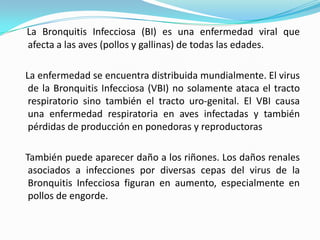 La Bronquitis Infecciosa (BI) es una enfermedad viral que afecta a las aves (pollos y gallinas) de todas las edades.   La enfermedad se encuentra distribuida mundialmente. El virus de la Bronquitis Infecciosa (VBI) no solamente ataca el tracto respiratorio sino también el tracto uro-genital. El VBI causa una enfermedad respiratoria en aves infectadas y también pérdidas de producción en ponedoras y reproductoras   También puede aparecer daño a los riñones. Los daños renales asociados a infecciones por diversas cepas del virus de la Bronquitis Infecciosa figuran en aumento, especialmente en pollos de engorde.