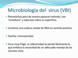 Microbiología del  virus (VBI) Pleomórfico pero de manera general redondo, con “envoltura” y espículas sobre su superficie. Contiene una cadena simple de RNA en sentido positivo Familia: Coronaviridae Virus muy frágil, su infectividad se pierde fácilmente lo que enfatiza la necesidad de un adecuado manejo de las vacunas vivas 