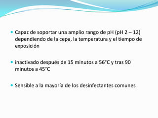 Capaz de soportar una amplio rango de pH (pH 2 – 12) dependiendo de la cepa, la temperatura y el tiempo de exposición inactivado después de 15 minutos a 56°C y tras 90 minutos a 45°C Sensible a la mayoría de los desinfectantes comunes