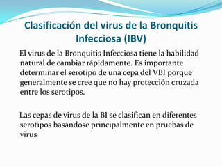 Clasificación del virus de la Bronquitis Infecciosa (IBV)   El virus de la Bronquitis Infecciosa tiene la habilidad natural de cambiar rápidamente. Es importante determinar el serotipo de una cepa del VBI porque generalmente se cree que no hay protección cruzada entre los serotipos.    Las cepas de virus de la BI se clasifican en diferentes serotipos basándose principalmente en pruebas de virus 
