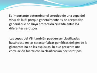 Es importante determinar el serotipo de una cepa del virus de la BI porque generalmente es de aceptación general que no haya protección cruzada entre los diferentes serotipos.    Las cepas del VBI también pueden ser clasificadas basándose en las características genéticas del gen de la glicoproteína de las espículas, lo que presenta una correlación fuerte con la clasificación por serotipos.