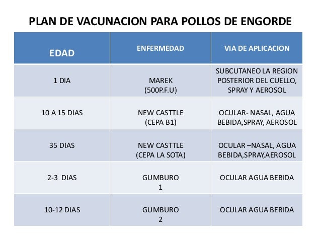 Imagen relacionada