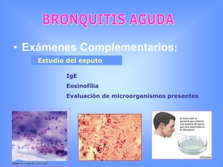 BRONQUITIS AGUDAExámenes Complementarios:Hematología Completa