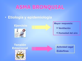 Descartar otras patologíasBRONQUITIS AGUDAExámenes Complementarios:Estudio del esputoIgEEosinofíliaEvaluación de microorganismos presentes