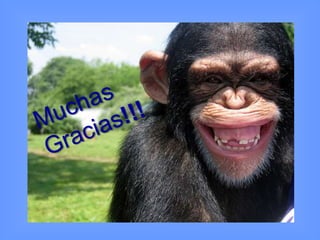 ASMA BRONQUIALPatogenia y fisiopatología:Mecanismo de BroncoconstricciónAg + AcTono muscular(AMPc)Antígeno ExtrínsecoIgELiberación de mediadores(GMPc)Músculo lisoPermeabilidadAMPcConstricciónEdema