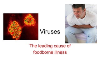 Viruses
The leading cause of
foodborne illness
 