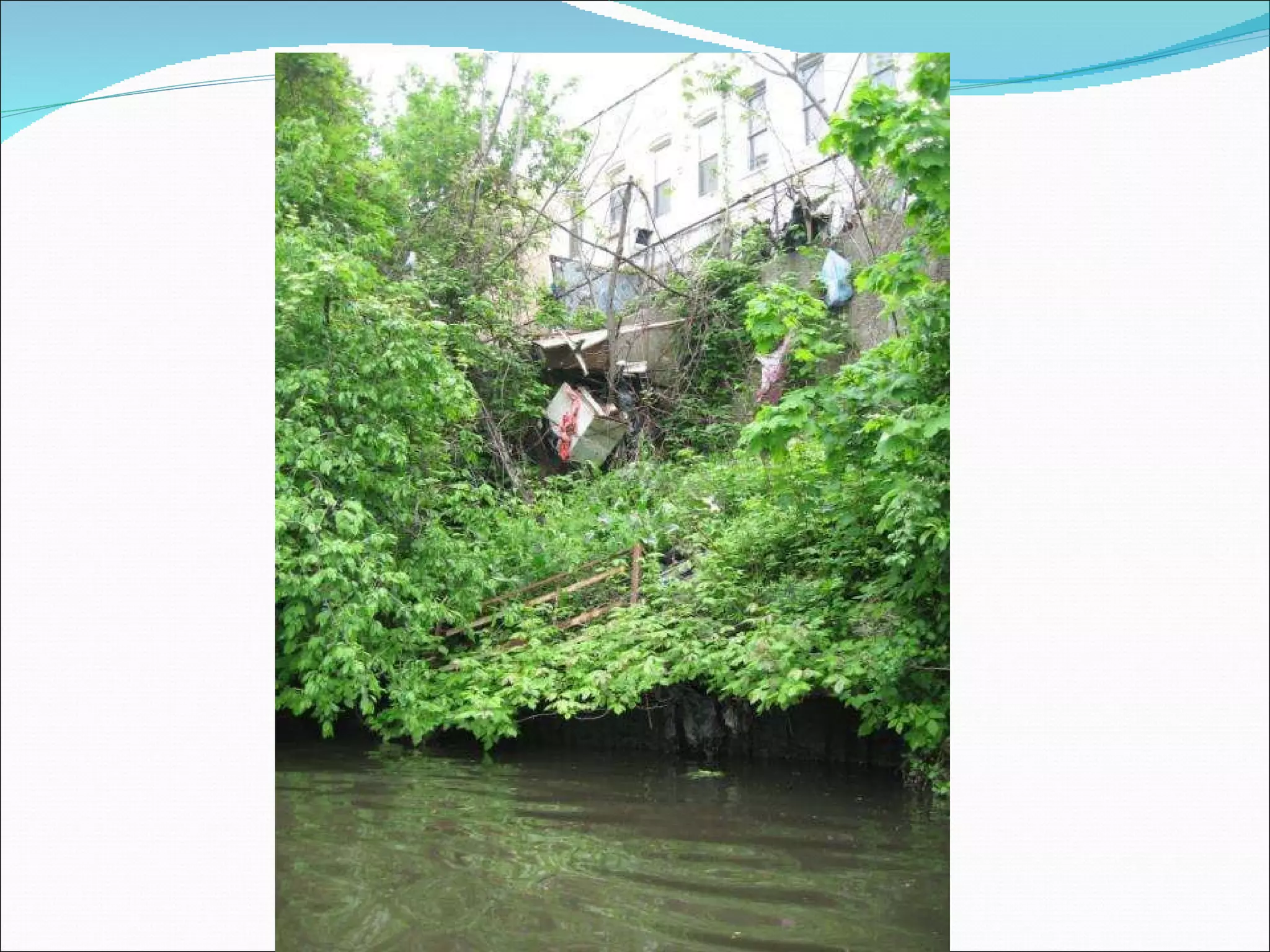 Bronx River And Learning Objectives Ppt