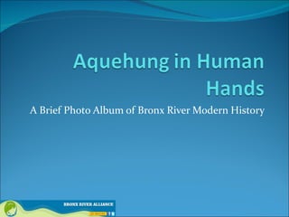 Bronx River And Learning Objectives Ppt