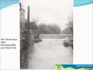 Bronx River And Learning Objectives Ppt