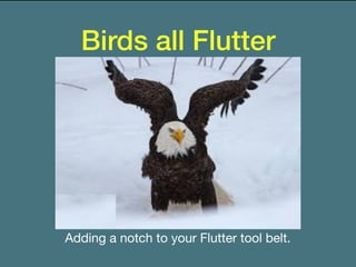 Birds all Flutter
Adding a notch to your Flutter tool belt.
 