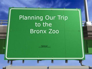 Planning Our Trip  to the  Bronx Zoo 