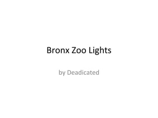 Bronx Zoo Lights

  by Deadicated
 
