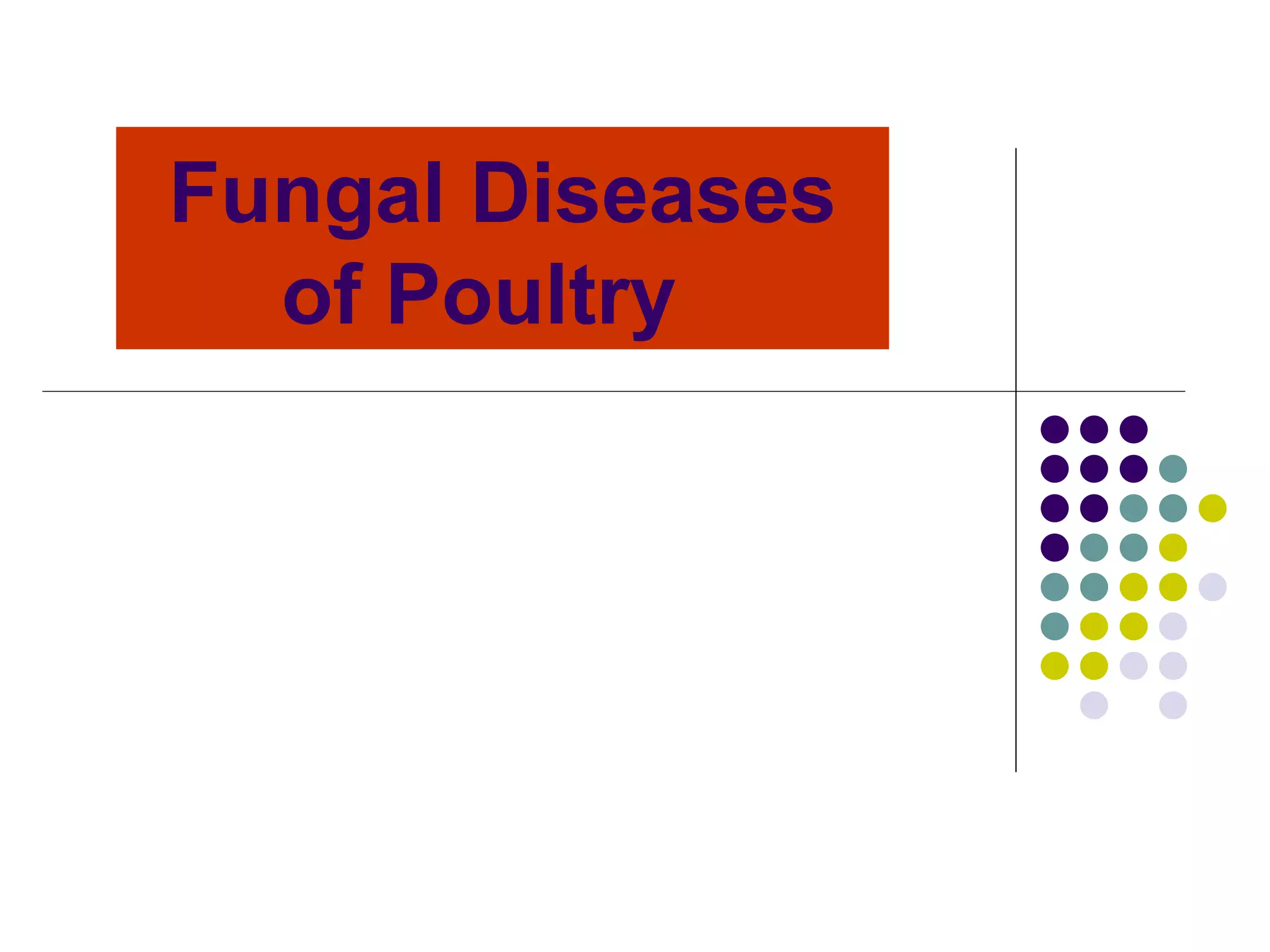 Brooder Pneumonia.ppt