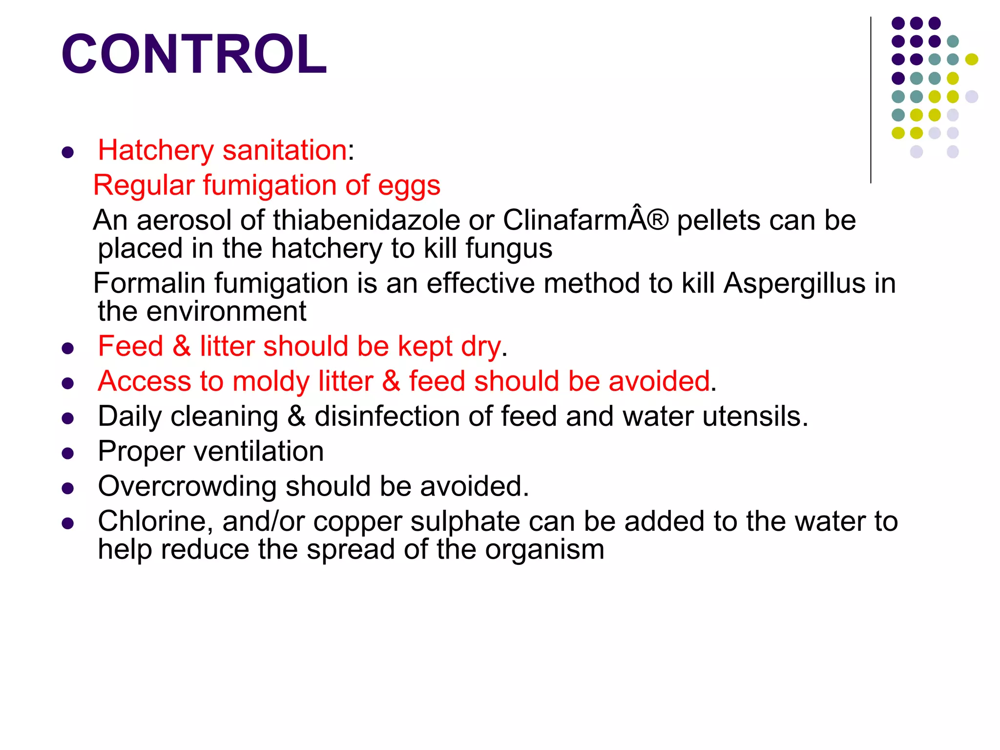 Brooder Pneumonia.ppt