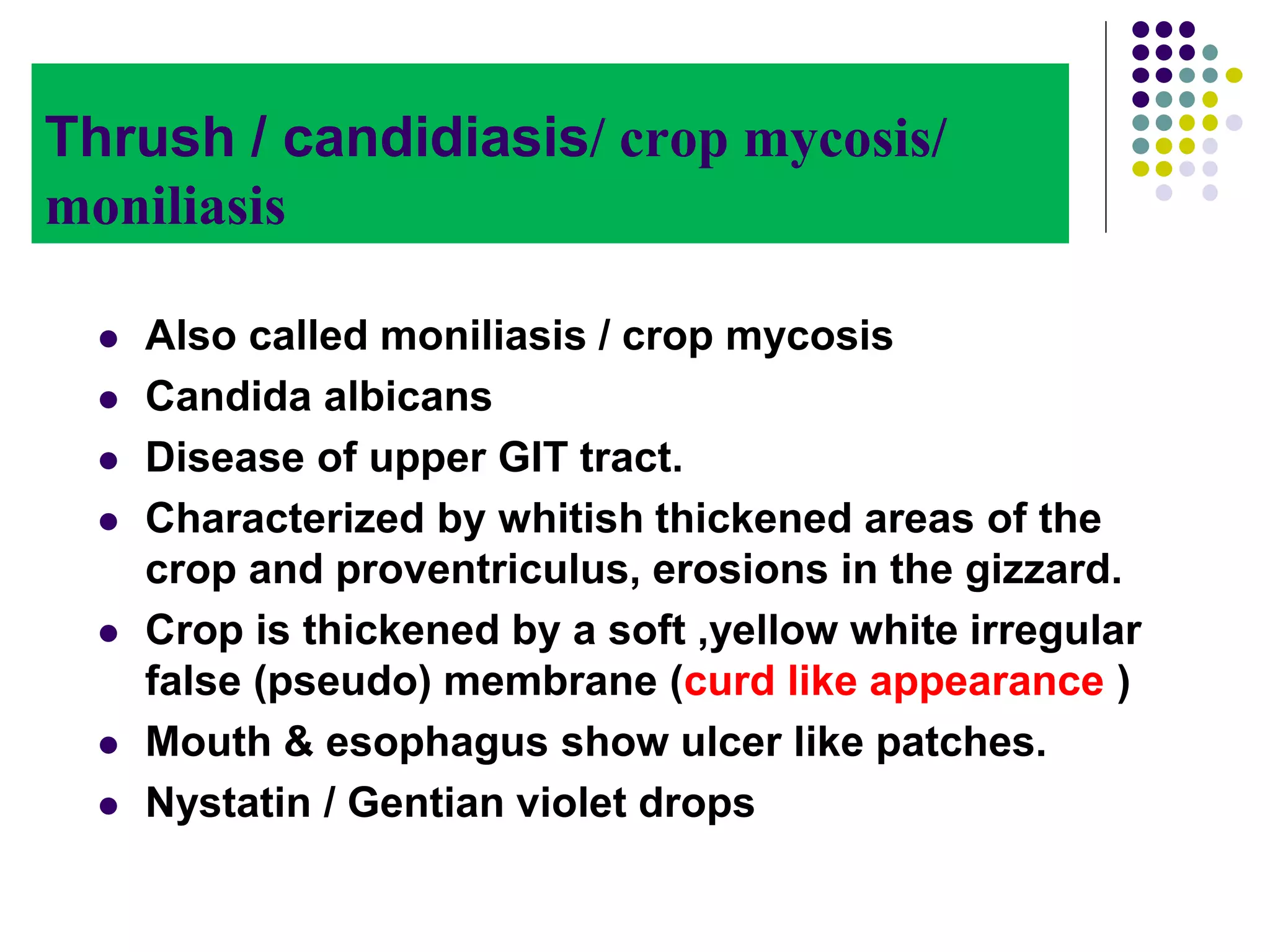 Brooder Pneumonia.ppt