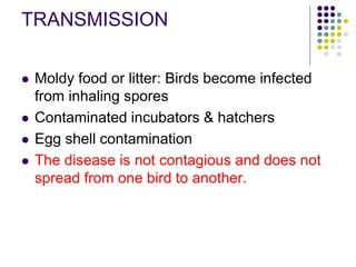 Brooder Pneumonia.ppt