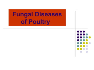 Fungal Diseases
of Poultry
 