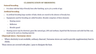 CLASSIFICATION OF BROODING
Natural brooding
 It is done with the help of broody hens after hatching, up to 3 to 4 weeks of age.
Artificial brooding
 In artificial brooding large number of baby chicks are reared in the absence of broody hen.
 Equipments used for brooding are called brooders. Brooder comprises of three elements:
o Heating source
o Reflectors
o Brooder guard
 Heating source may be electrical, gases like natural gas, LPG and methane, liquid fuel like kerosene and solid fuel like coal,
wood can be used as a heating material.
Charcoal stove / kerosene stove
 Where electricity is not available, ordinary charcoal / kerosene stoves are used to provide supplementary heat to
chicks.
These stoves are covered with plate / pans to dissipate the heat.
 