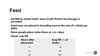 Brooding and brooding aea preparation | PPTX