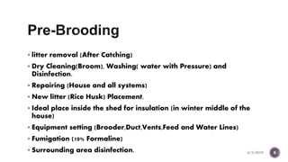Brooding and brooding aea preparation | PPTX