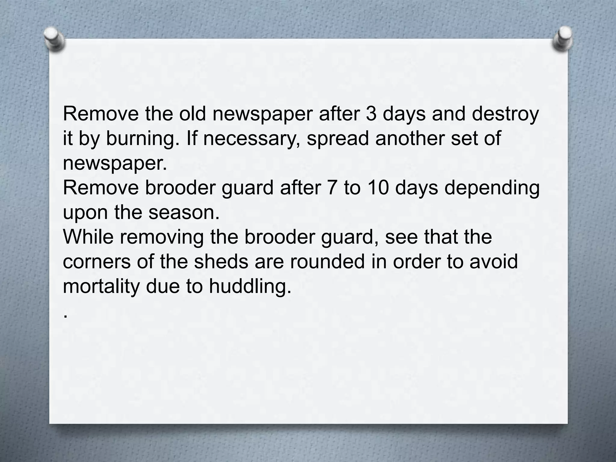 Brooding and management | PPTX